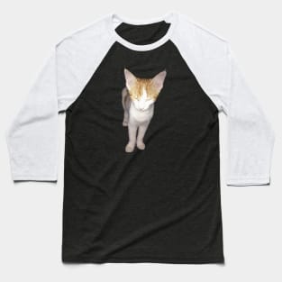 Kitty Zen Mode Baseball T-Shirt